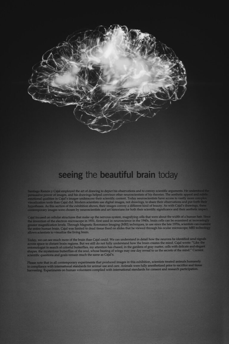 Neuroscience: Exploring the Brain – A Fascinating Journey into the Depths of Human Mind