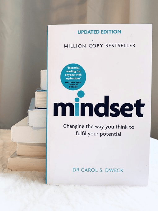 mindset book