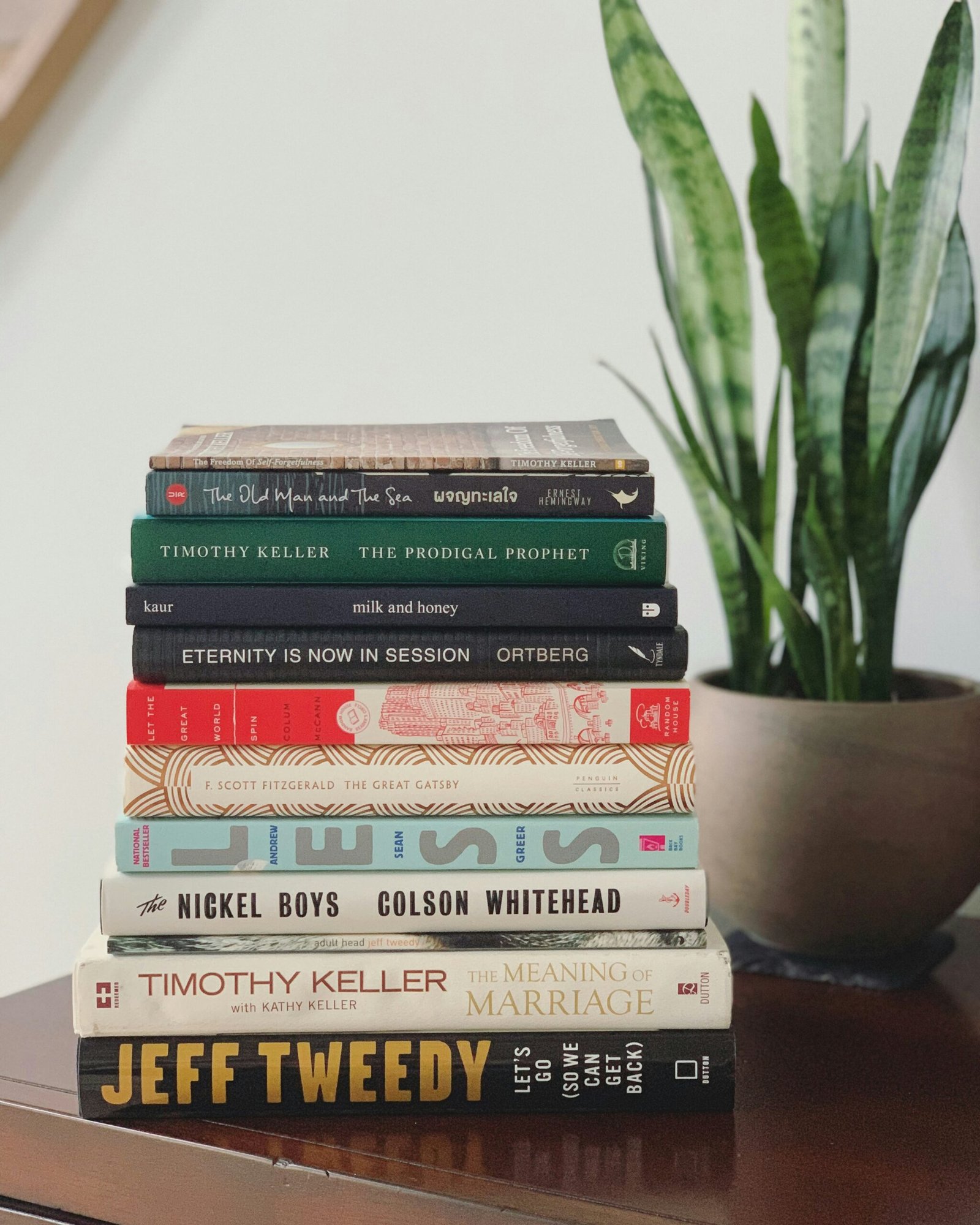 stack of assorted-title books beside snake plants